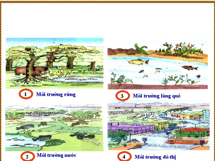 1 2 Môi trường rừng Môi trường nước 3 4 Môi trường làng quê