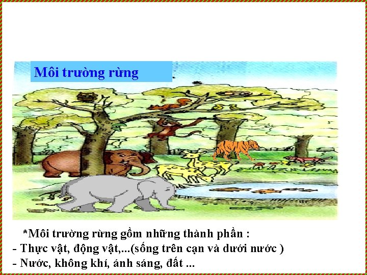 Môi trường rừng *Môi trường rừng gồm những thành phần : - Thực vật,