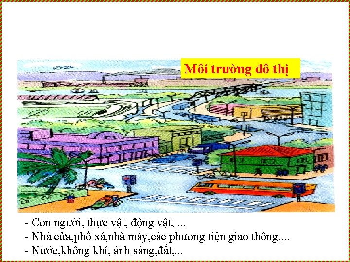 Môi trường đô thị - Con người, thực vật, động vật, . . .