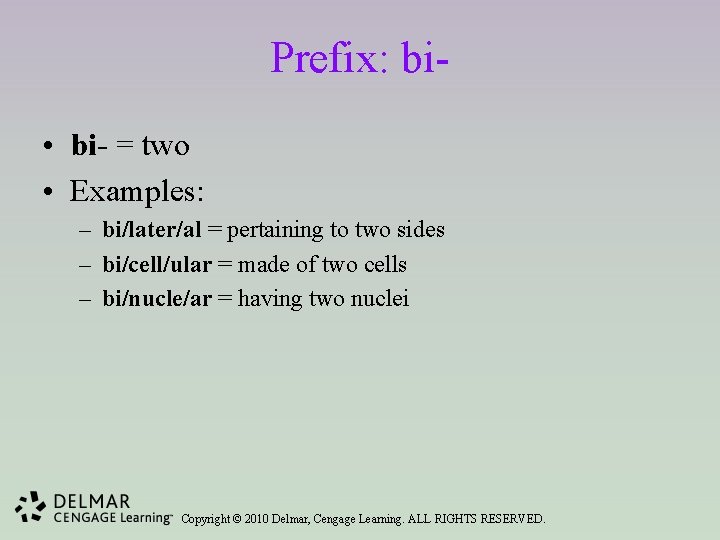Prefix: bi • bi- = two • Examples: – bi/later/al = pertaining to two