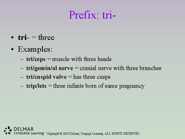 Prefix: tri • tri- = three • Examples: – – tri/ceps = muscle with