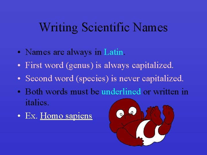 Writing Scientific Names • • Names are always in Latin. First word (genus) is