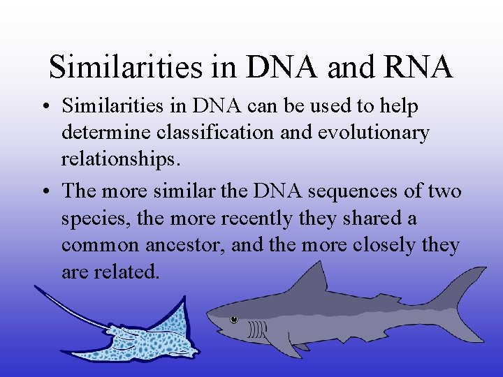 Similarities in DNA and RNA • Similarities in DNA can be used to help