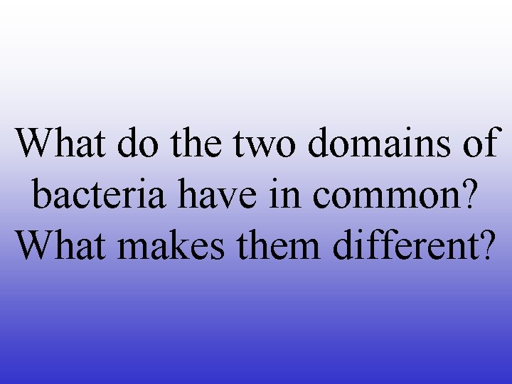 What do the two domains of bacteria have in common? What makes them different?