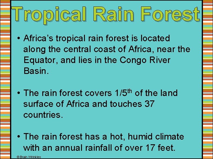 Tropical Rain Forest • Africa’s tropical rain forest is located along the central coast