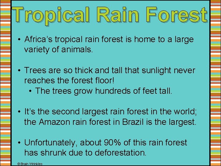 Tropical Rain Forest • Africa’s tropical rain forest is home to a large variety