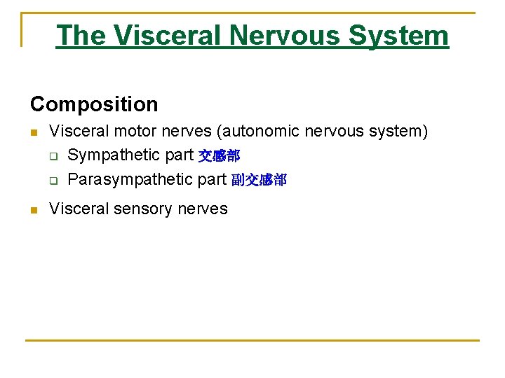 The Visceral Nervous System Composition n Visceral motor nerves (autonomic nervous system) q Sympathetic