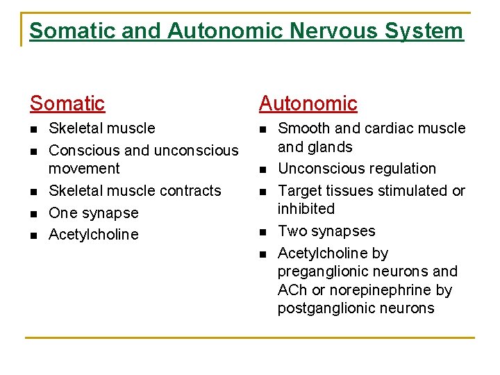 Somatic and Autonomic Nervous System Somatic n n n Skeletal muscle Conscious and unconscious