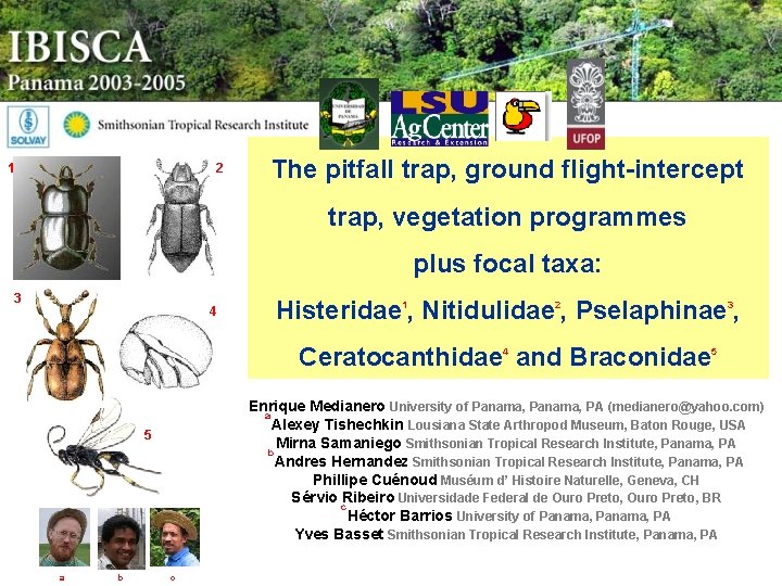 1 2 The pitfall trap, ground flight-intercept trap, vegetation programmes plus focal taxa: 3