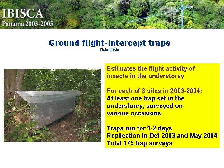 Ground flight-intercept traps Tishechkin Estimates the flight activity of insects in the understorey For