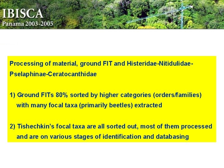 Processing of material, ground FIT and Histeridae-Nitidulidae. Pselaphinae-Ceratocanthidae 1) Ground FITs 80% sorted by