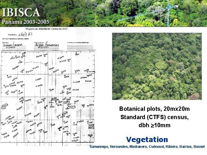 Botanical plots, 20 mx 20 m Standard (CTFS) census, dbh 10 mm Vegetation Samaniego,