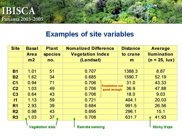 Examples of site variables Resolution not good enough Vegetation data Remote sensing Sticky traps