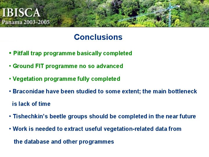 Conclusions • Pitfall trap programme basically completed • Ground FIT programme no so advanced