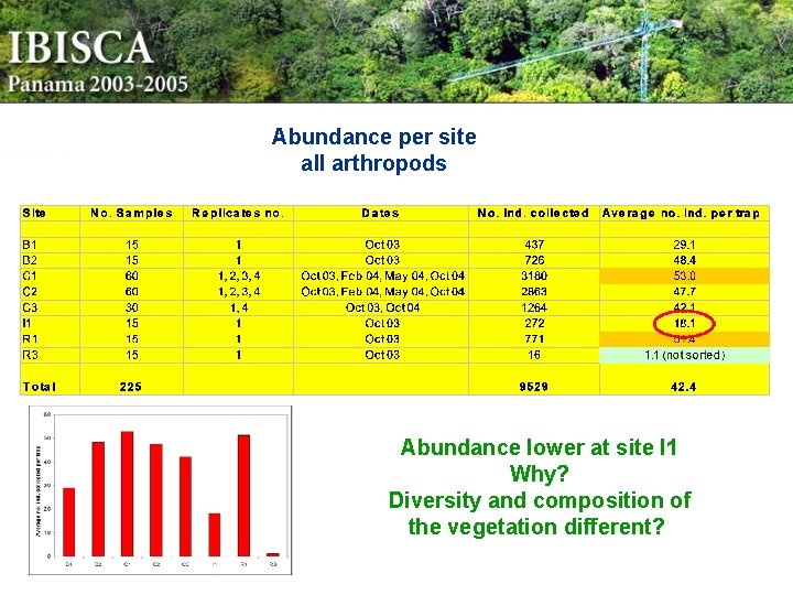 Abundance per site all arthropods Abundance lower at site I 1 Why? Diversity and