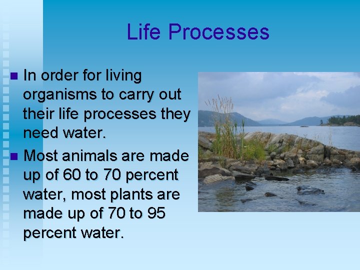 Life Processes In order for living organisms to carry out their life processes they