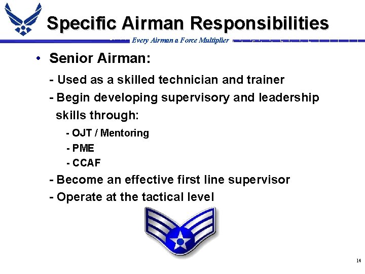 Specific Airman Responsibilities Every Airman a Force Multiplier • Senior Airman: - Used as