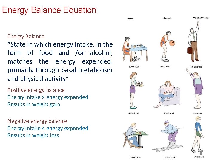 Energy Balance Equation Energy Balance “State in which energy intake, in the form of