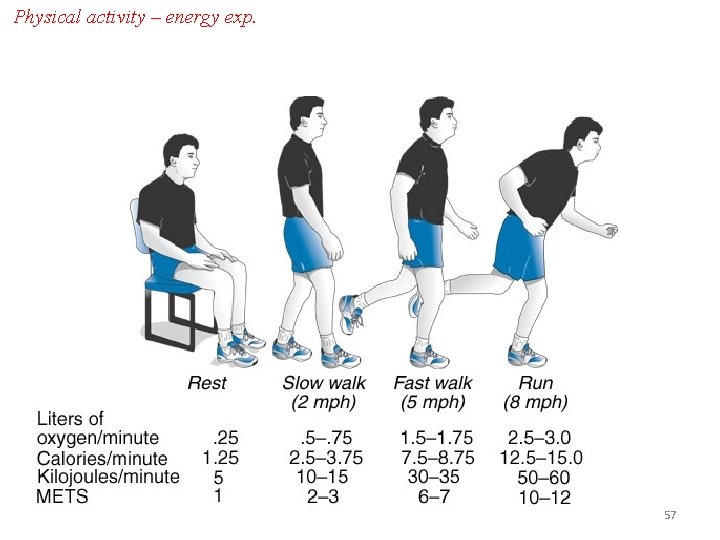 Physical activity – energy exp. 57 