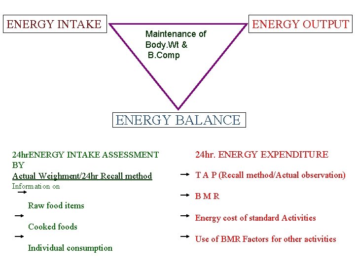 ENERGY INTAKE Maintenance of Body. Wt & B. Comp ENERGY OUTPUT ENERGY BALANCE 24