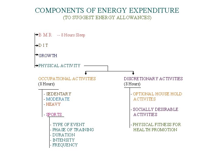 COMPONENTS OF ENERGY EXPENDITURE (TO SUGGEST ENERGY ALLOWANCES) BMR -- 8 Hours Sleep DIT