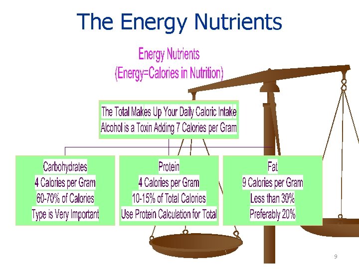 The Energy Nutrients 9 