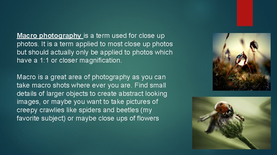 Macro photography is a term used for close up photos. It is a term