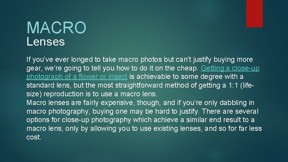 MACRO Lenses If you’ve ever longed to take macro photos but can’t justify buying