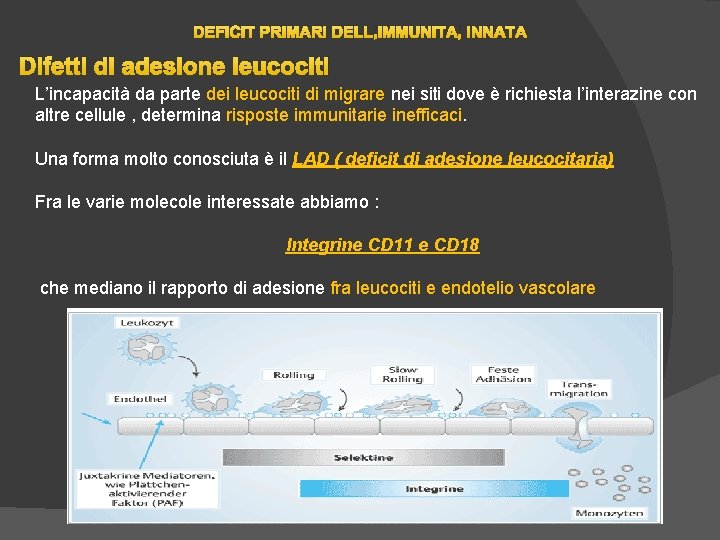 DEFICIT PRIMARI DELL’IMMUNITA’ INNATA Difetti di adesione leucociti L’incapacità da parte dei leucociti di DEFICIT PRIMARI DELL’IMMUNITA’ INNATA Difetti di adesione leucociti L’incapacità da parte dei leucociti di