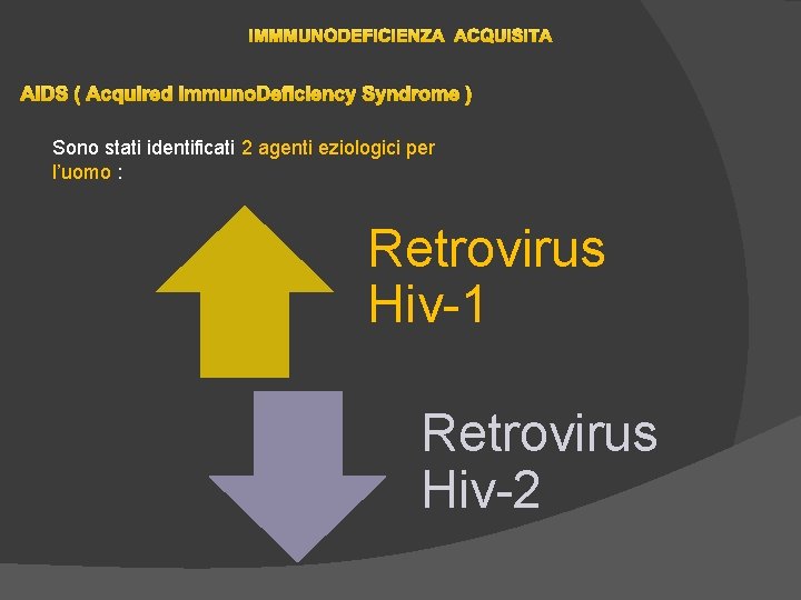 IMMMUNODEFICIENZA ACQUISITA AIDS ( Acquired Immuno. Deficiency Syndrome ) Sono stati identificati 2 agenti IMMMUNODEFICIENZA ACQUISITA AIDS ( Acquired Immuno. Deficiency Syndrome ) Sono stati identificati 2 agenti