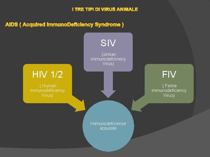 I TRE TIPI DI VIRUS ANIMALE AIDS ( Acquired Immuno. Deficiency Syndrome ) SIV I TRE TIPI DI VIRUS ANIMALE AIDS ( Acquired Immuno. Deficiency Syndrome ) SIV