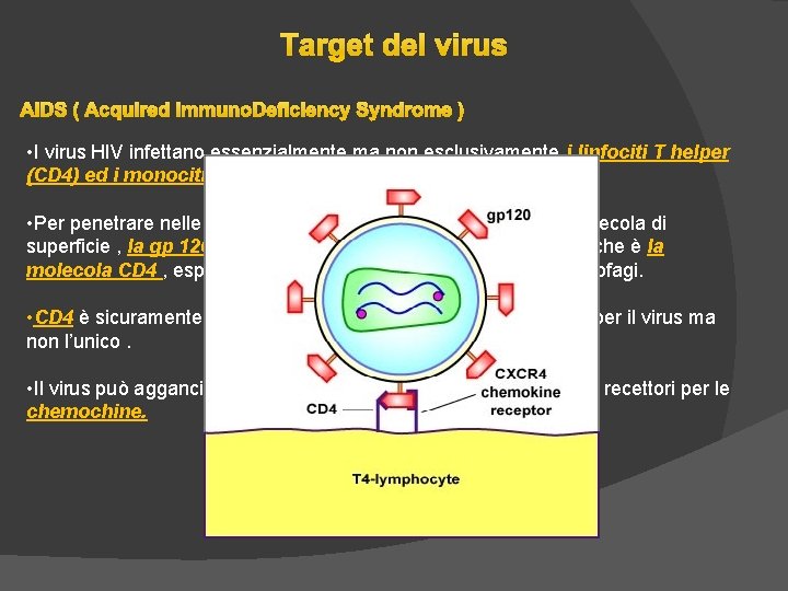 Target del virus AIDS ( Acquired Immuno. Deficiency Syndrome ) • I virus HIV Target del virus AIDS ( Acquired Immuno. Deficiency Syndrome ) • I virus HIV