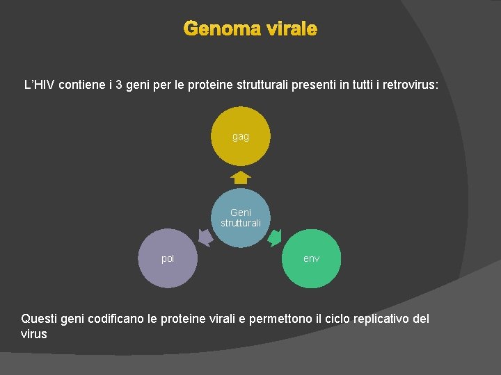 Genoma virale L’HIV contiene i 3 geni per le proteine strutturali presenti in tutti Genoma virale L’HIV contiene i 3 geni per le proteine strutturali presenti in tutti