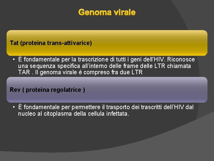 Genoma virale Tat (proteina trans-attivarice) • È fondamentale per la trascrizione di tutti i Genoma virale Tat (proteina trans-attivarice) • È fondamentale per la trascrizione di tutti i