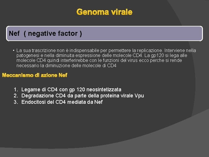Genoma virale Nef ( negative factor ) • La sua trascrizione non è indispensabile Genoma virale Nef ( negative factor ) • La sua trascrizione non è indispensabile
