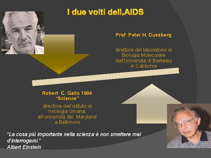 I due volti dell’AIDS Prof. Peter H. Duesberg direttore del laboratorio di Biologia Molecolare I due volti dell’AIDS Prof. Peter H. Duesberg direttore del laboratorio di Biologia Molecolare