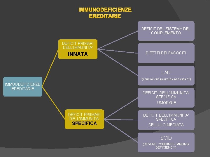 IMMUNODEFICIENZE EREDITARIE DEFICIT DEL SISTEMA DEL COMPLEMENTO DEFICIT PRIMARI DELL’IMMUNITA’ INNATA DIFETTI DEI FAGOCITI IMMUNODEFICIENZE EREDITARIE DEFICIT DEL SISTEMA DEL COMPLEMENTO DEFICIT PRIMARI DELL’IMMUNITA’ INNATA DIFETTI DEI FAGOCITI