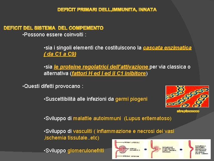 DEFICIT PRIMARI DELL’IMMUNITA’ INNATA DEFICIT DEL SISTEMA DEL COMPEMENTO • Possono essere coinvolti : DEFICIT PRIMARI DELL’IMMUNITA’ INNATA DEFICIT DEL SISTEMA DEL COMPEMENTO • Possono essere coinvolti :