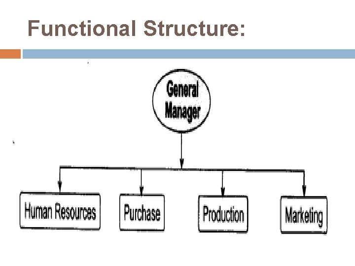 Functional Structure: 