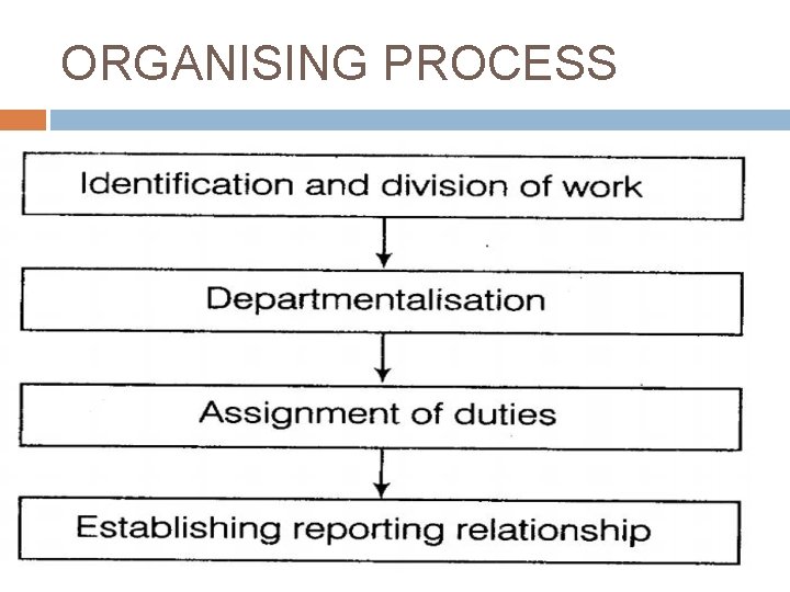 ORGANISING PROCESS 