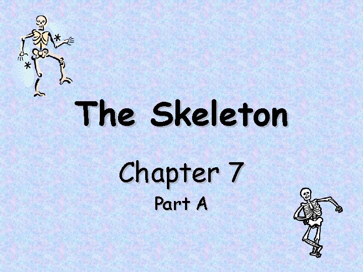 The Skeleton Chapter 7 Part A 