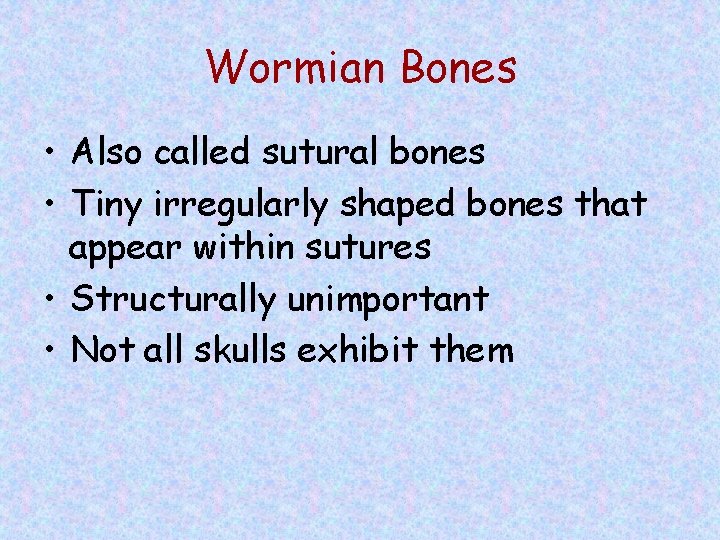 Wormian Bones • Also called sutural bones • Tiny irregularly shaped bones that appear