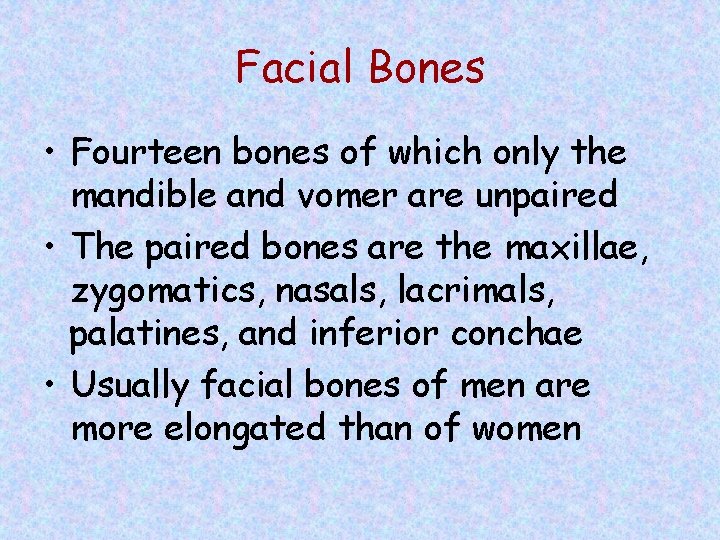 Facial Bones • Fourteen bones of which only the mandible and vomer are unpaired