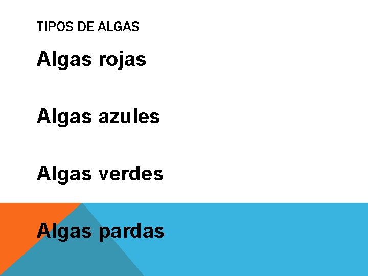 TIPOS DE ALGAS Algas rojas Algas azules Algas verdes Algas pardas 