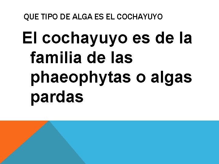 QUE TIPO DE ALGA ES EL COCHAYUYO El cochayuyo es de la familia de