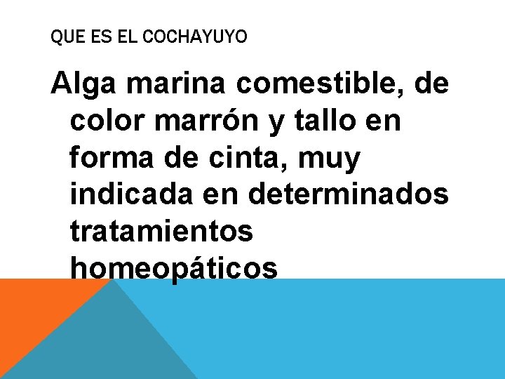 QUE ES EL COCHAYUYO Alga marina comestible, de color marrón y tallo en forma