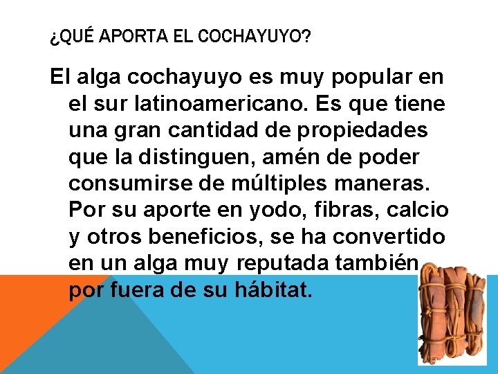 ¿QUÉ APORTA EL COCHAYUYO? El alga cochayuyo es muy popular en el sur latinoamericano.