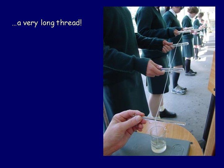 …a very long thread! 