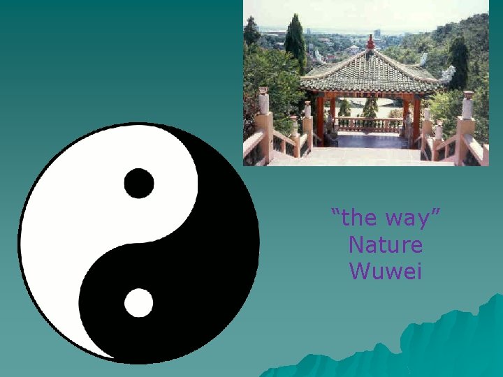 “the way” Nature Wuwei 