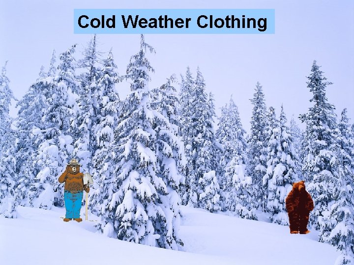 Cold Weather Clothing 